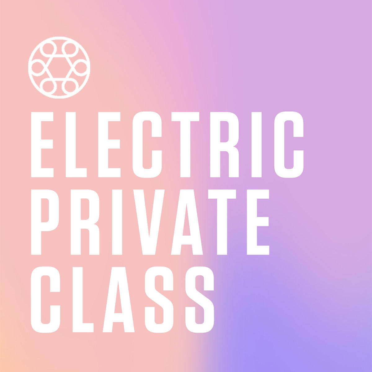 ELECTRIC PRIVATE CLASS